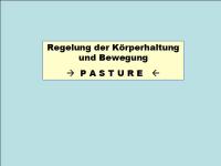 Abbildung 3: Sturz-Risiko-Assessment