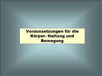 Abbildung 4: Sturz-Risiko-Assessment
