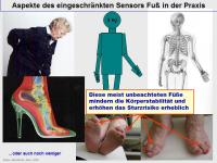 Abbildung 11: Sturz-Risiko-Assessment