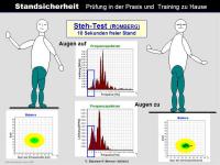 Abbildung 13: Sturz-Risiko-Assessment