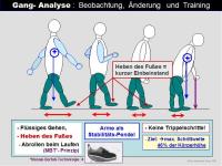 Abbildung 14: Sturz-Risiko-Assessment