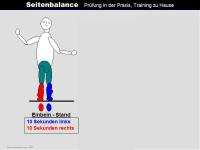 Abbildung 15: Sturz-Risiko-Assessment