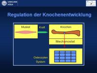 Abbildung 19: Osteogenesis imperfecta