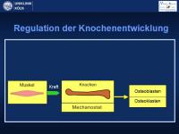 Abbildung 20: Osteogenesis imperfecta