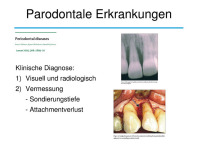 Abbildung 4: Osteologie