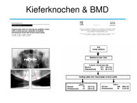 Abbildung 8: Osteologie
