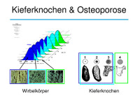 Abbildung 9: Osteologie