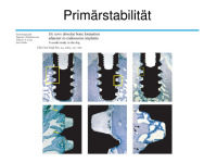 Abbildung 11: Osteologie