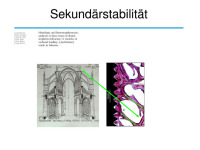 Abbildung 13: Osteologie