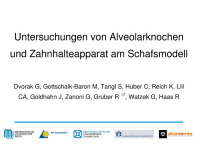 Abbildung 19: Osteologie