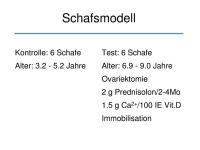 Abbildung 20: Osteologie
