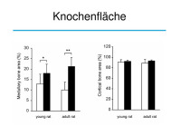 Abbildung 28: Osteologie