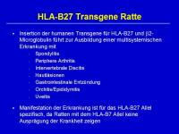 Abbildung 8: Morbus Bechterew