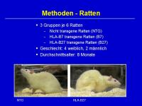 Abbildung 9: Morbus Bechterew