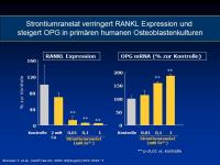 Abbildung 6: Protelos