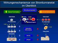 Abbildung 7: Protelos
