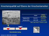 Abbildung 8: Protelos