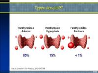 Abbildung 3: pHPT