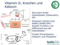 Abbildung 7: Diabetes - Osteoporose