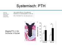Abbildung 17: Osteoporosetherapie