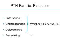 Abbildung 20: Osteoporosetherapie