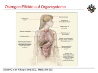 Abbildung 4: Raloxifen