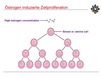 Abbildung 7: Raloxifen