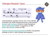 Abbildung 8: Raloxifen