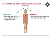 Abbildung 15: Raloxifen
