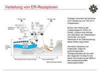 Abbildung 21: Raloxifen
