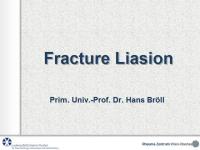 Abbildung 1: Fracture Liasion