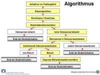 Abbildung 7: Fracture Liasion