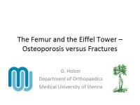 Abbildung 1: Osteoporose