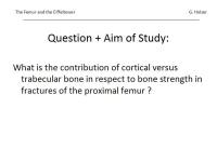 Abbildung 7: Osteoporose