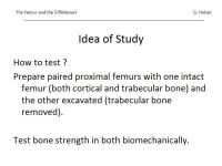 Abbildung 9: Osteoporose