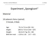 Abbildung 11: Osteoporose