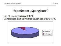 Abbildung 29: Osteoporose
