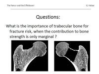 Abbildung 32: Osteoporose