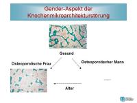 Abbildung 5: Schenkelhalsfraktur