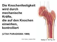 Abbildung 21: K�rperliches Training - Osteoporose