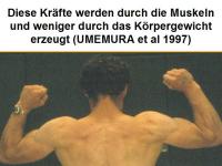 Abbildung 22: K�rperliches Training - Osteoporose