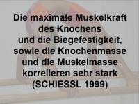 Abbildung 24: K�rperliches Training - Osteoporose