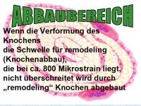 Abbildung 26: K�rperliches Training - Osteoporose