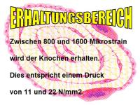 Abbildung 27: K�rperliches Training - Osteoporose