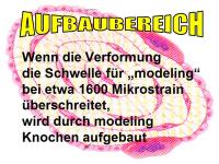 Abbildung 28: K�rperliches Training - Osteoporose