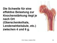 Abbildung 39: K�rperliches Training - Osteoporose