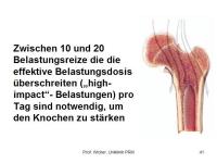 Abbildung 41: K�rperliches Training - Osteoporose