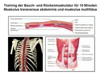 Abbildung 48: K�rperliches Training - Osteoporose