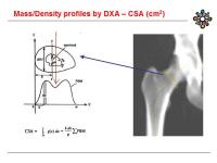 Abbildung 7: DXA