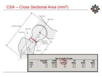 Abbildung 8: DXA